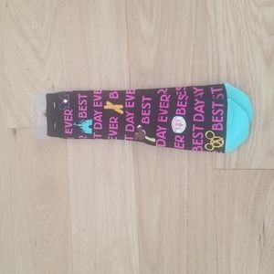 Disney Parks "Best day ever" park icon themed unisex socks BNWT